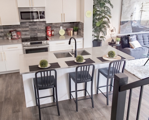 Cuisine Contemporaine Contemporary Kitchen